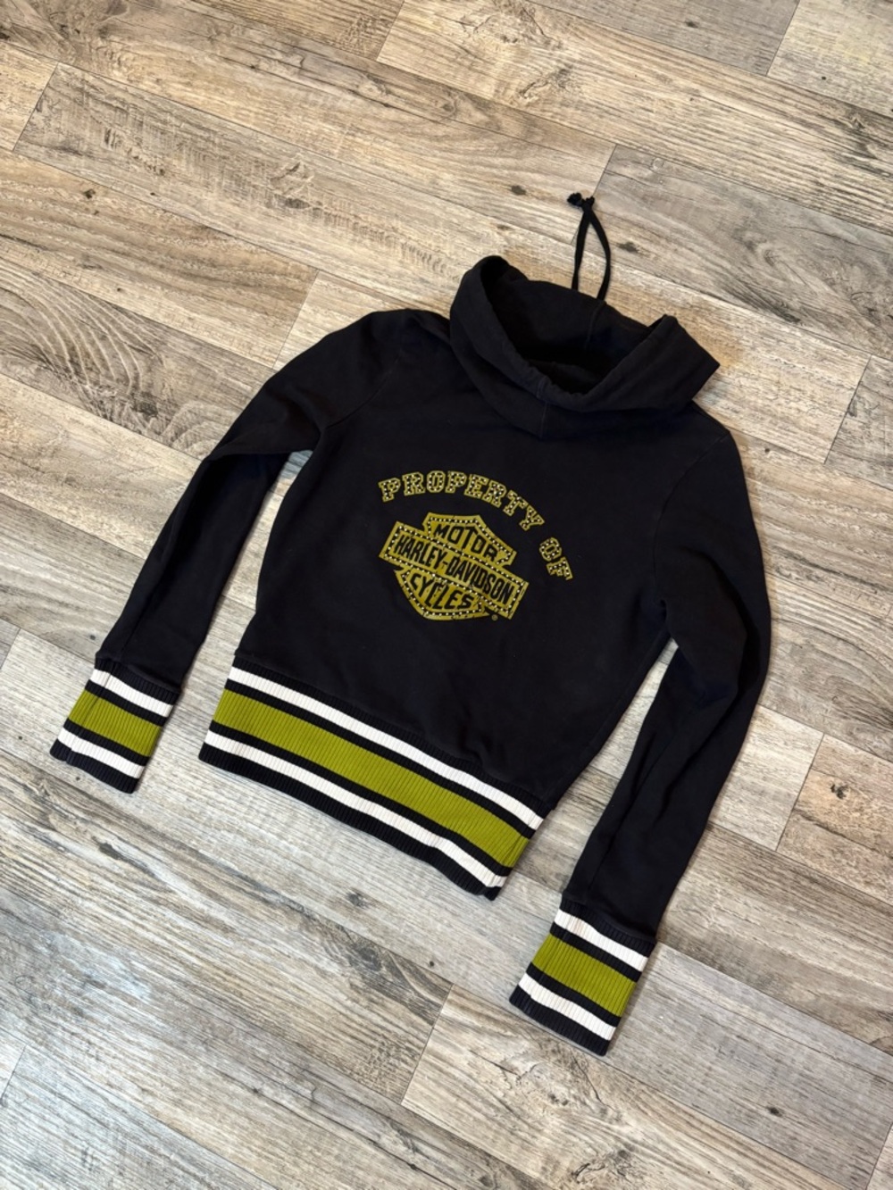 Harley Davidson hoodie